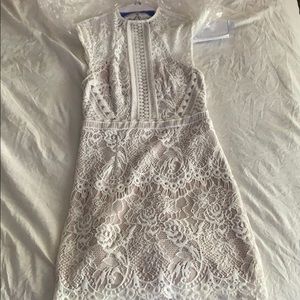 lace mini dress